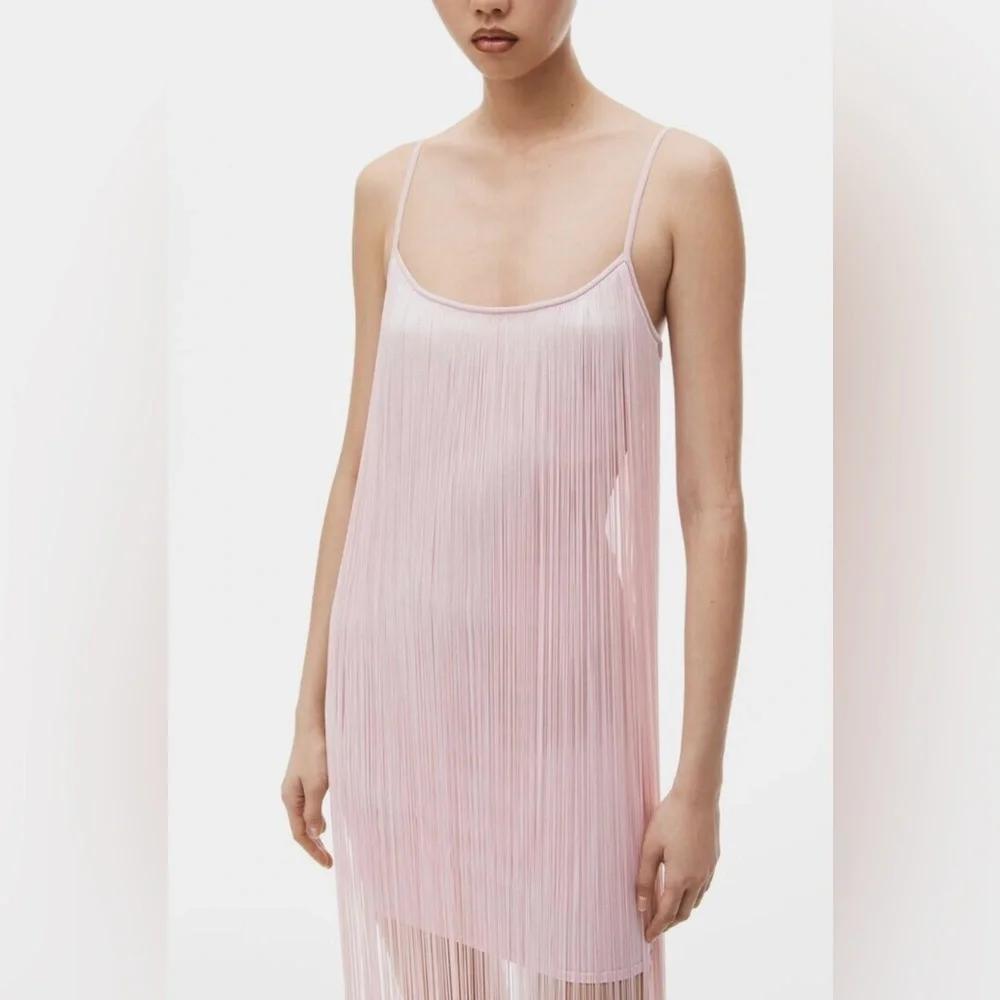 Alexander Wang Dress - Picture 5 of 7